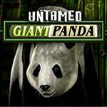 Untamed - Giant Panda